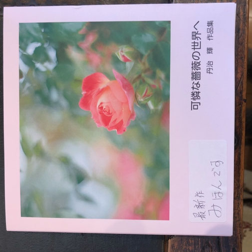 丹治輝 作品集「可憐な薔薇の世界へ」 ¥1,200 カラー写真35P 150㎜×150㎜