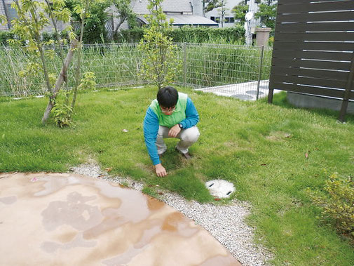 庭の除草・清掃