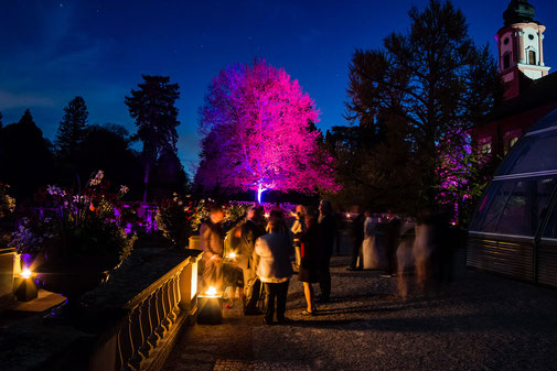 Musik feuerwerk Insel Mainau Hochzeit Konstanz