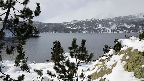 Vistes TC272 Raquetes de neu - Llac de les Bulloses