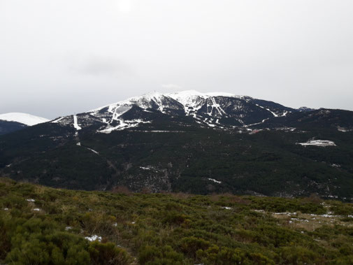 TC222 - Vistes des de la Ruta de la Muntanya - Tosa d'Alp