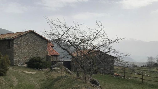 TC261 - Senderisme - Excursió - Lles de Cerdanya