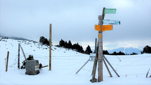 Raquetes - coll de Meians