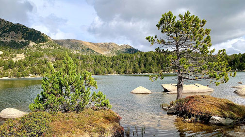 Estany de Malniu TC212 senderisme