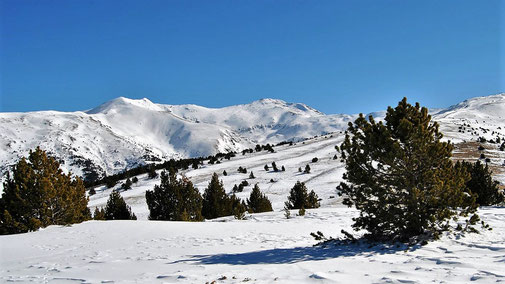 Raquetes de neu - Cotzè - Muntanyes