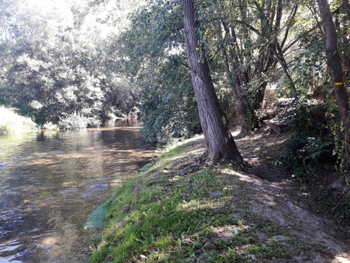 TC224 - Ruta romànica de la Cerdanya - riu Segre