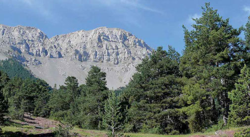 Senderisme - Excursió a peu - serra del Cadí