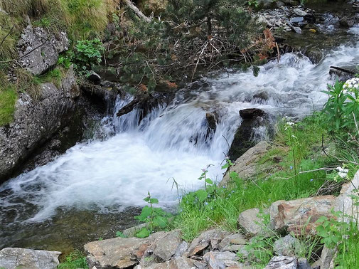 TC260 Gorges del Segre