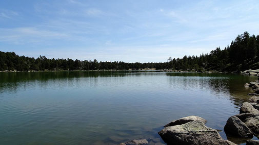 TC230 - Estany de Malniu