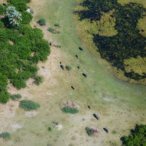 areal photograph okavango delta botswana africa