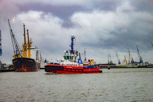 Hafen, Rotterdam, Niederlande, Die Traumreiser, Schlepper