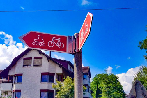 Bodensee Radweg, Radtour, Schweiz, Deutschland, Die Traumreiser