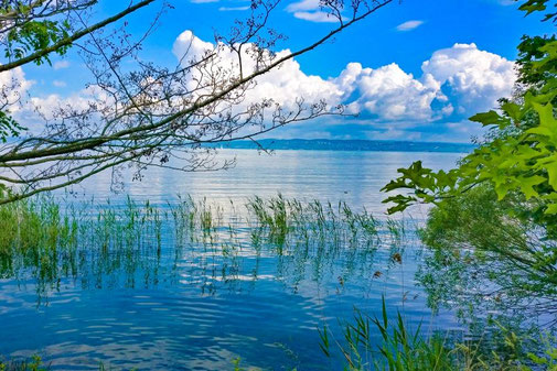 Bodensee Radweg, Radtour, Schweiz, Deutschland, Die Traumreiser