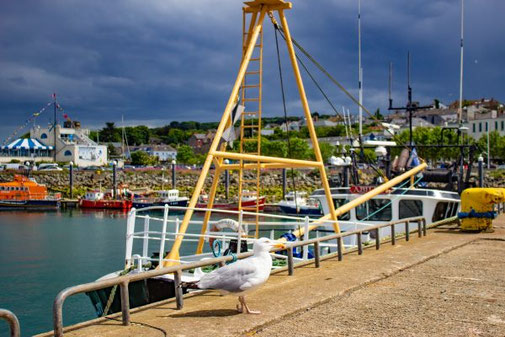 Dublin, Irland, Die Traumreiser, Howth, Hafen