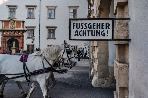 Wien, Vienna, Österreich, Die Traumreiser, Fiaker, Pferdekutsche, Kutsche, Pferde