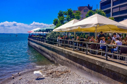 fahrrad weg am bodensee von friedrichshafen nach meersburg
