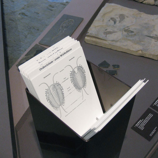 Viele der Illustrationen, wie hier die Anatomie des Trilobits, werden in Fächern gezeigt. © Michael Stünzi