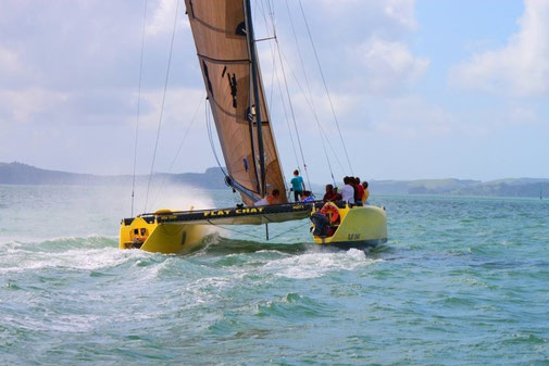 40' Racing catamaran Flat Chat