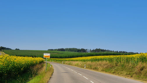 Die Straße nach Wolnzach über den Wolnzacher Berg.