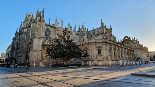 Kathedrale Santa María de la Sede.