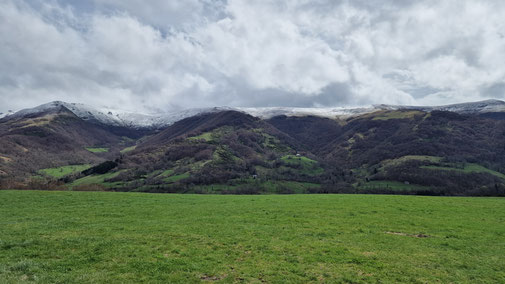 ... sind saftig grün und die Gipfel mit Schnee überzuckert.