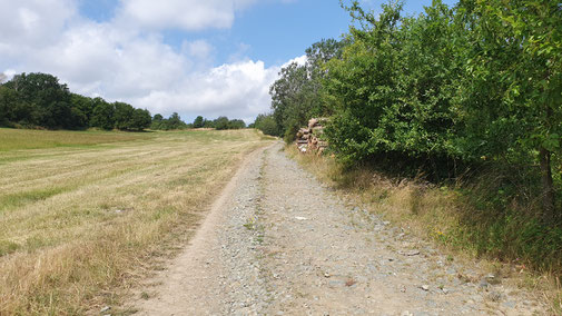 Endlich wieder ein Schotterweg...