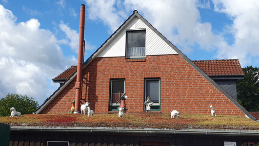 Nicht gut zu sehen... aber auf diesem Ausdach sich Schafe...