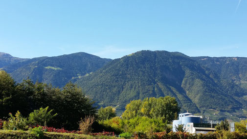 Geübte Augen erkennen in der Bildmitte die Seilbahn (Schneise, nicht ganz senkrecht) auf Vigiljoch...