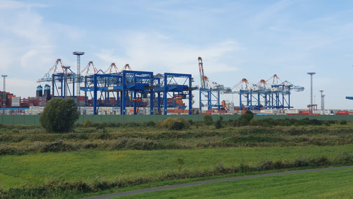 Der Hafen ist endlos...