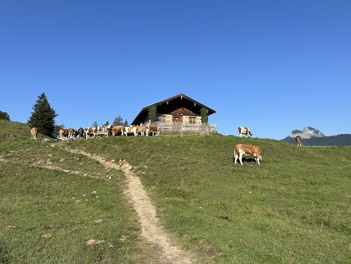 Bilderbuch 