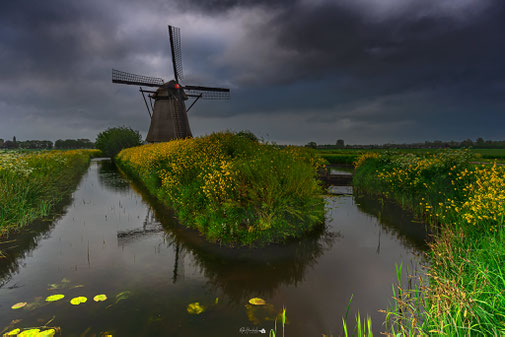 Noord-Brabant | Almkerk | Oude Doornse Molen