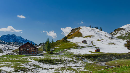 Oostenrijk | Vorarlberg | Bregenzerwald | Hochtannbergpass