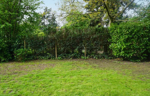 Unbepflanzte Grundstücksgrenze im Vorher-Zustand