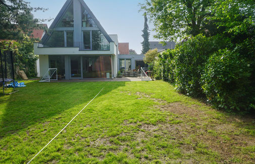 Gerade Rasenfläche mit Blick auf Terrasse und Haus