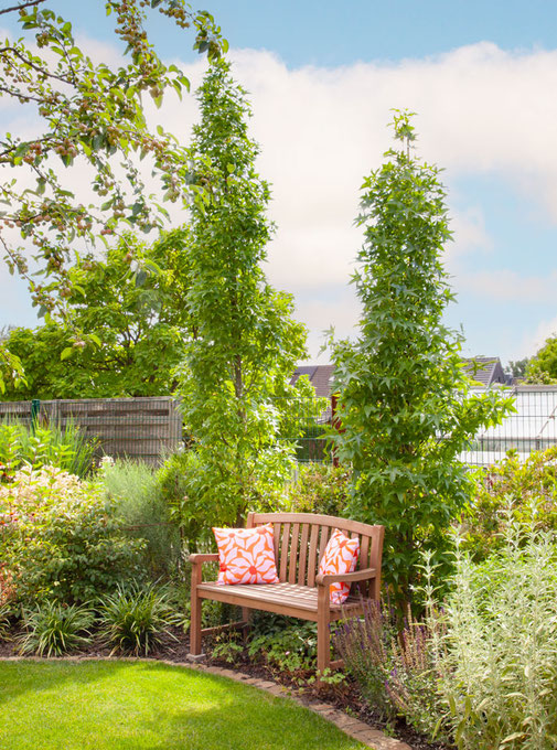 Ein Beet aus Gräsern, Sträuchern und Säulen-Amberbäumen wirft Schatten auf die Gartenbank aus Holz