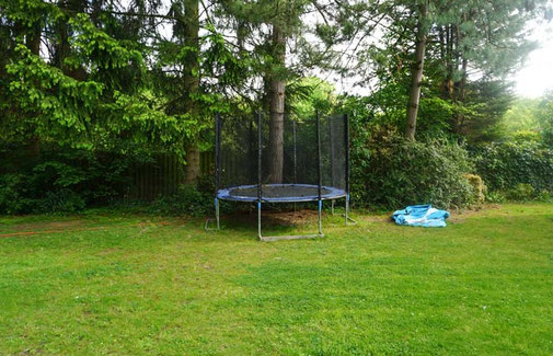 Trampolin steht auf der Wiese, Hecke und Bäume begrenzen das Grundstück