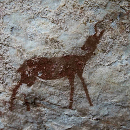 Prähistorische Hirschdarstellung auf einer Felswand. 