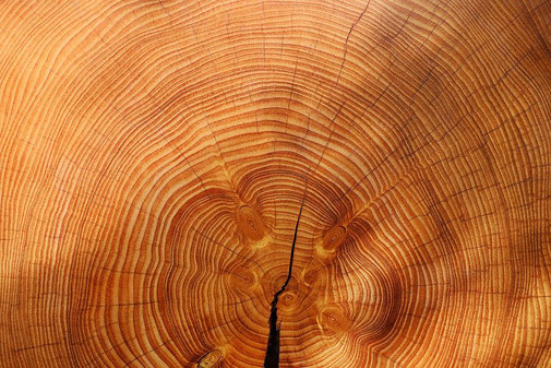 Schneidebretter, Almtaler Holzwurm, Stirnholz, Hirnholz, Längsholz, Stirnholz Schneidebrett, Schneidebrett, Jausenbrett