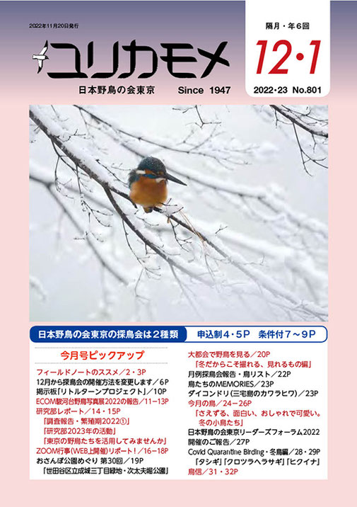 バックナンバー - 日本野鳥の会東京