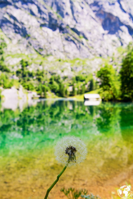 Obersee, Berchtesgardener Land, Juni 2017