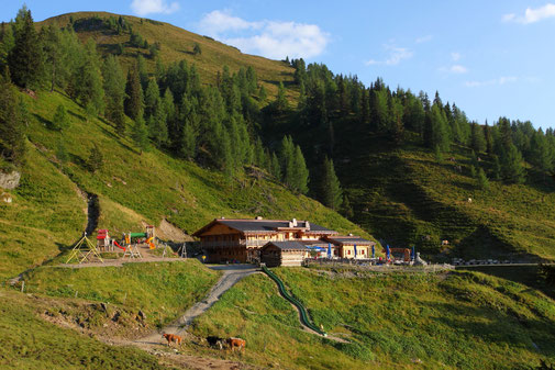 Die Loosbühlalm in Großarl - ein beliebtes Wanderziel für Jung und Alt
