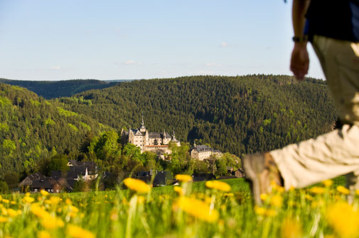 Wanderung oberhalb der Burg Lauenstein