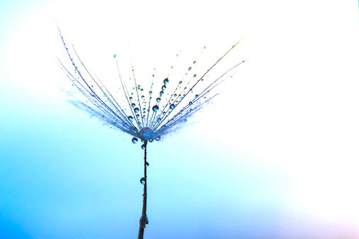 Hilfe durch Traumatherapie - Sabine Fels