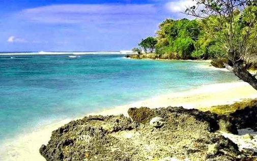 Alas Purwo National Park