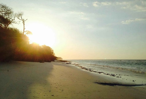 West Sumba real estate for sale