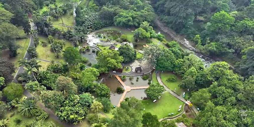 Bogor Botanical Gardens