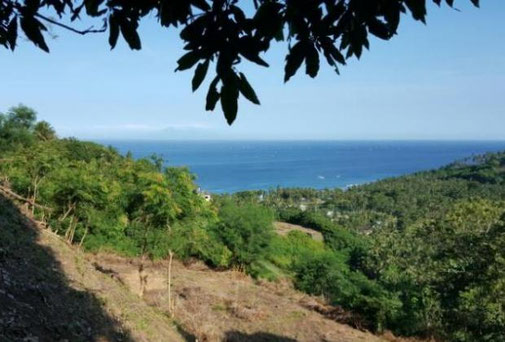 Senggigi real estate for sale