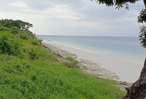 West Sumba real estate for sale