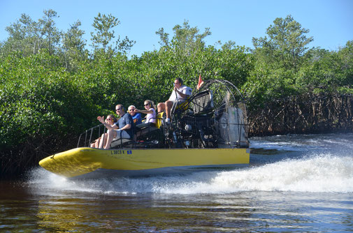 Everglades