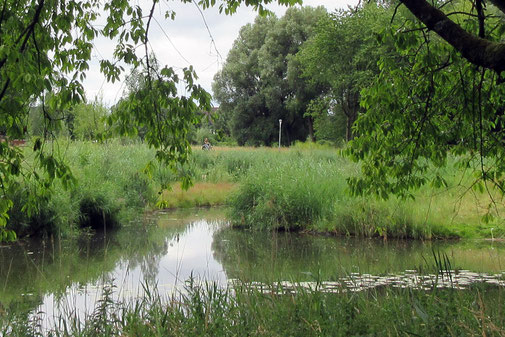 Parkschouw op 6 juli